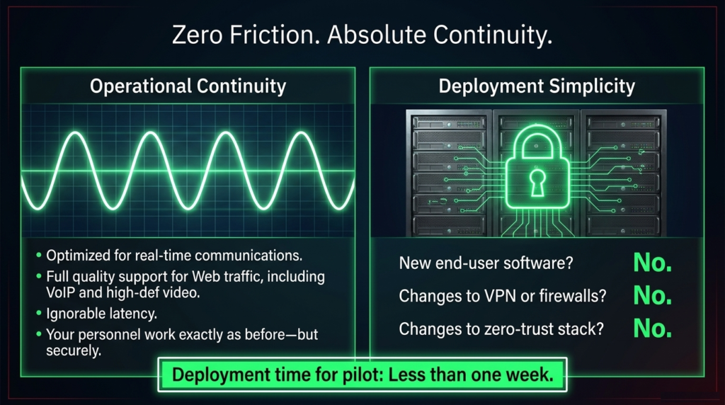 Zero Friction & Absolute Continuity in Government Digital Infrastructure 1 section 08