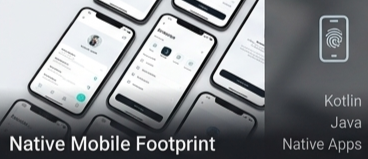 Home 5 Ride-Hailing Ecosystems